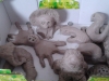 3b-galeria_miejska_8